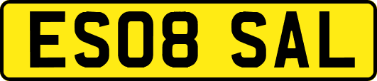ES08SAL