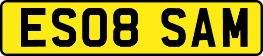 ES08SAM