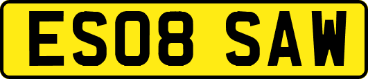 ES08SAW
