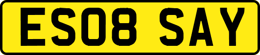 ES08SAY