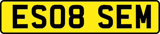 ES08SEM