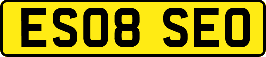 ES08SEO