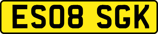 ES08SGK