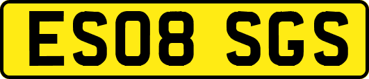 ES08SGS