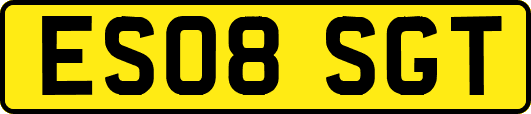 ES08SGT