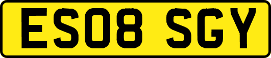ES08SGY