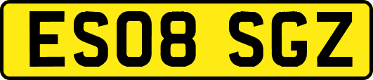 ES08SGZ