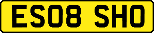ES08SHO