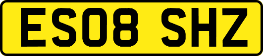 ES08SHZ