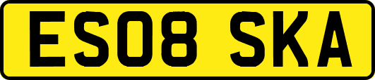 ES08SKA