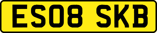 ES08SKB