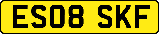 ES08SKF