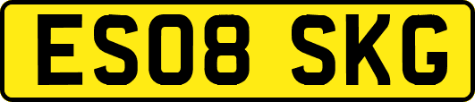 ES08SKG