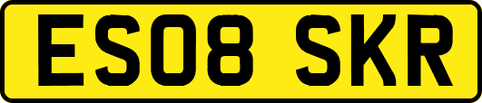ES08SKR