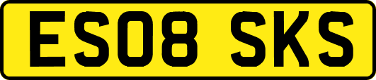 ES08SKS