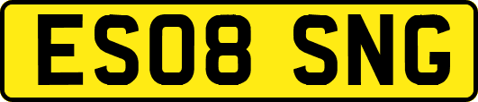 ES08SNG