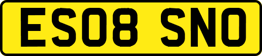 ES08SNO