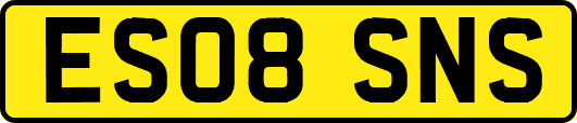 ES08SNS