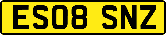 ES08SNZ