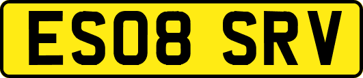 ES08SRV