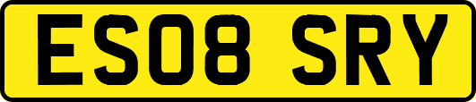 ES08SRY