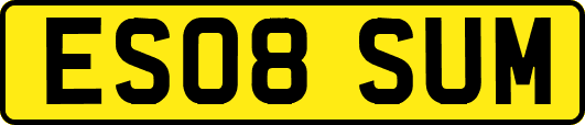 ES08SUM
