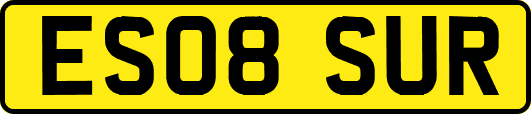 ES08SUR