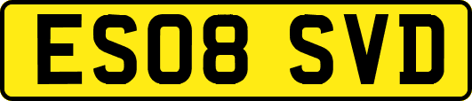 ES08SVD