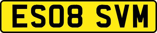 ES08SVM