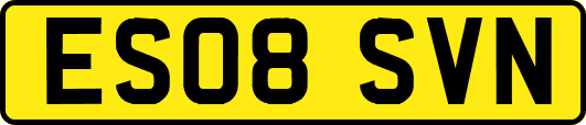 ES08SVN