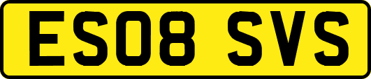 ES08SVS