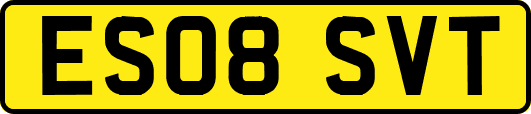 ES08SVT