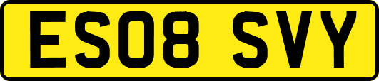 ES08SVY