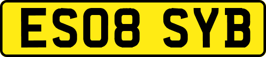 ES08SYB
