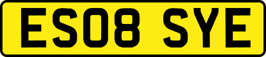 ES08SYE