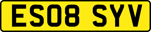 ES08SYV