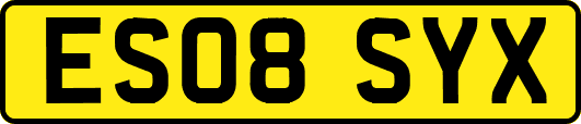 ES08SYX