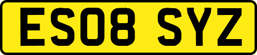 ES08SYZ