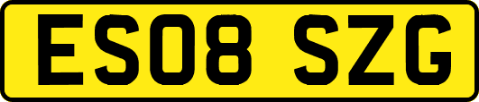 ES08SZG