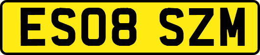 ES08SZM