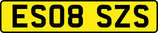 ES08SZS
