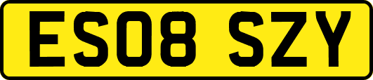 ES08SZY