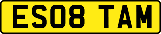 ES08TAM