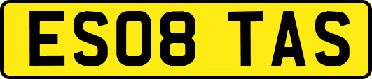 ES08TAS