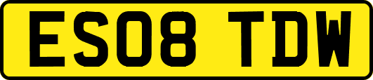 ES08TDW