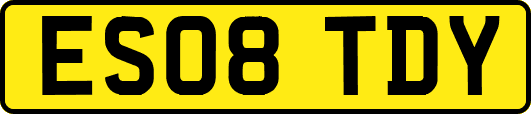 ES08TDY
