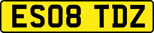 ES08TDZ