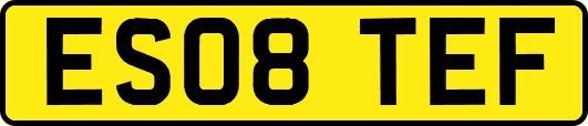 ES08TEF