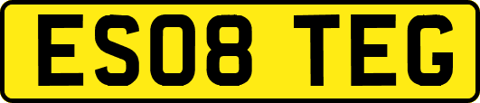 ES08TEG