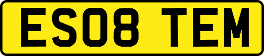 ES08TEM